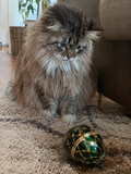 Long-haired tabby Siberian cat with white paws sitting beside a green-and-gold jeweled egg on a patterned living-room rug.
